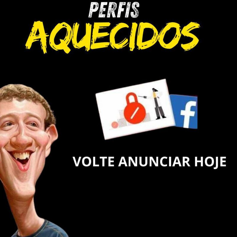 1  PERFIL